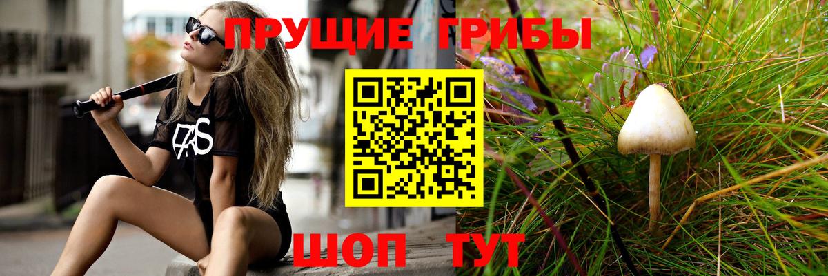 Галлюциногенные грибы Cubensis  Вход с VPN  где купить наркотик  Кохма 